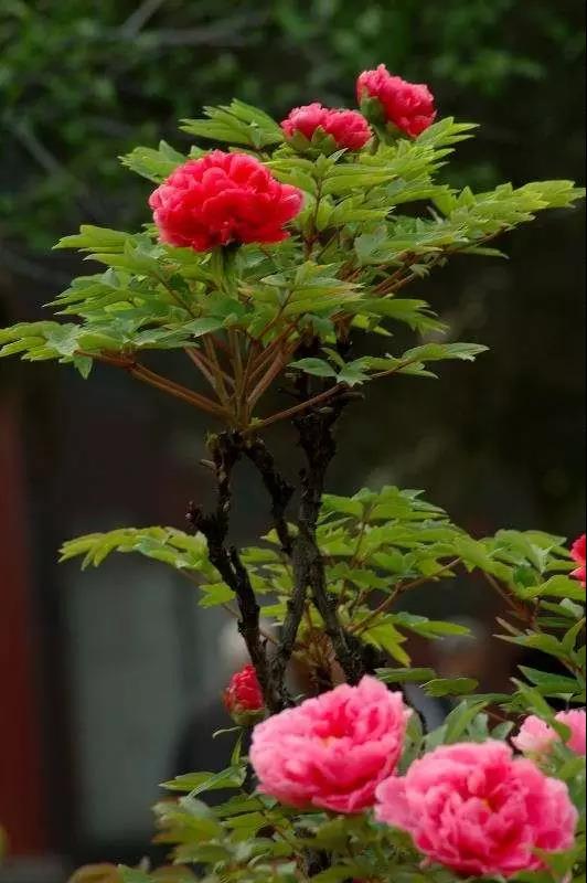 8處風(fēng)景如詩如畫，春天最值得去的地方！