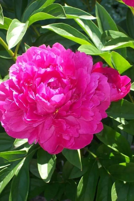 8處風(fēng)景如詩如畫，春天最值得去的地方！