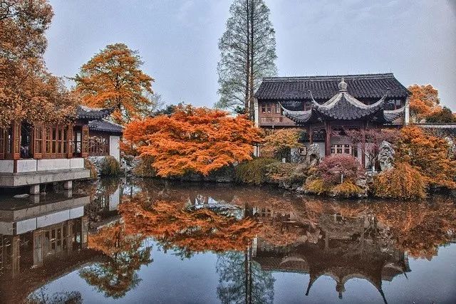 美呆了！祖國的秋色盡收眼底