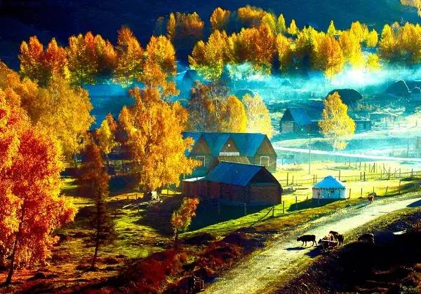 美呆了！祖國的秋色盡收眼底