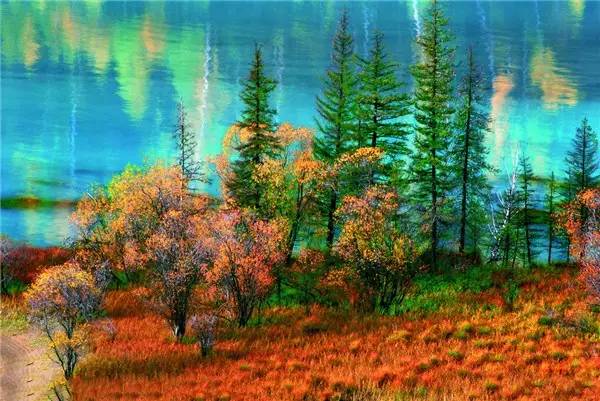 美呆了！祖國的秋色盡收眼底