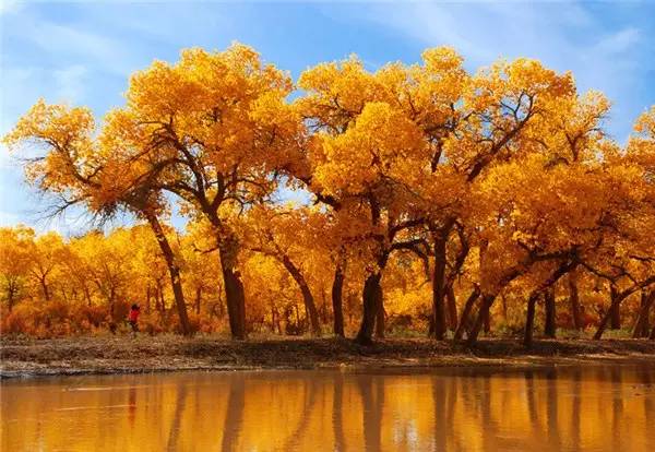 美呆了！祖國的秋色盡收眼底