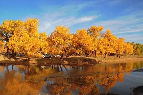 美呆了！祖國的秋色盡收眼底