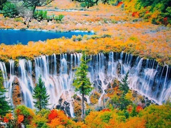 美呆了！祖國的秋色盡收眼底