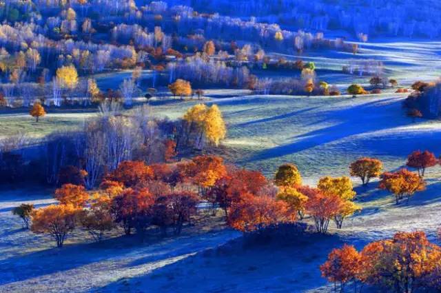 美呆了！祖國的秋色盡收眼底