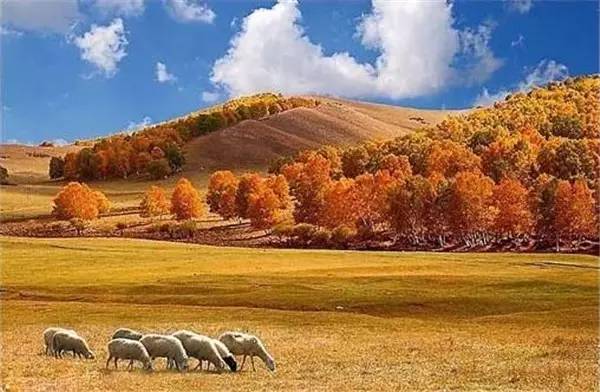 美呆了！祖國的秋色盡收眼底