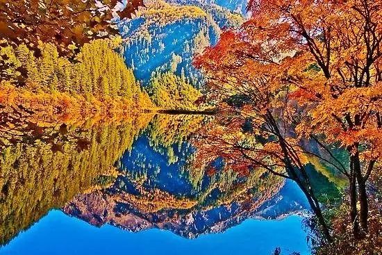 美呆了！祖國的秋色盡收眼底