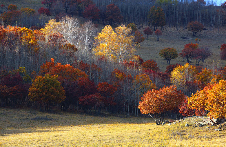 美呆了！祖國的秋色盡收眼底