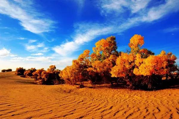 美呆了！祖國的秋色盡收眼底