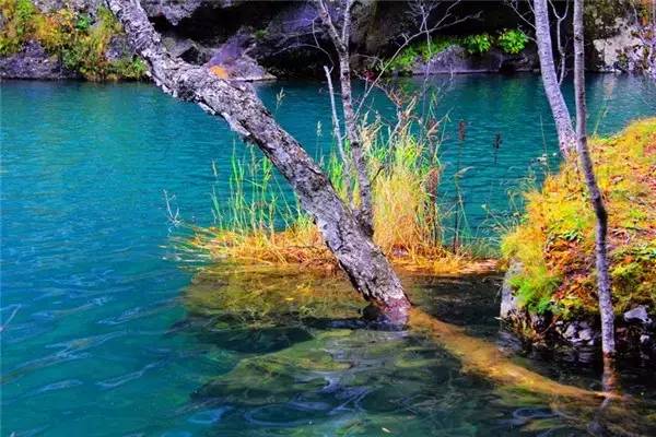 美呆了！祖國的秋色盡收眼底