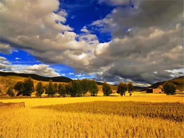 美呆了！祖國的秋色盡收眼底