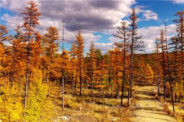 美呆了！祖國的秋色盡收眼底