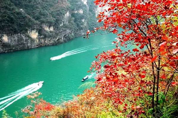 美呆了！祖國的秋色盡收眼底