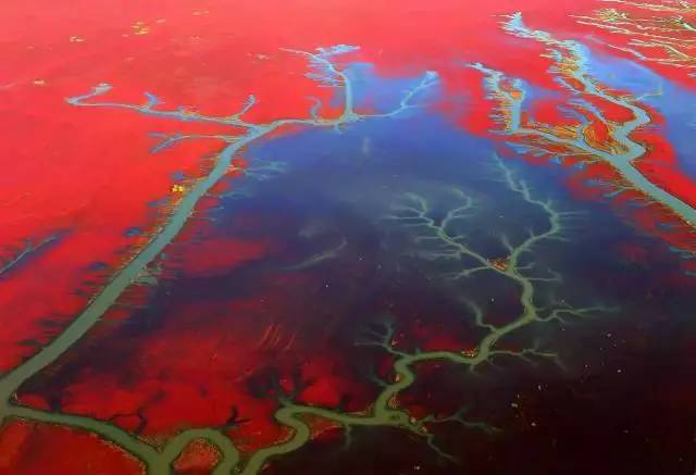 美呆了！祖國的秋色盡收眼底