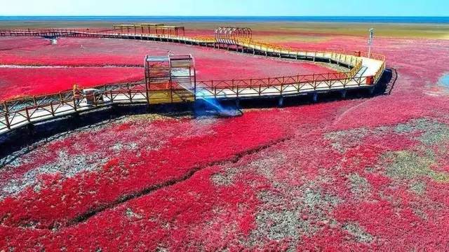 美呆了！祖國的秋色盡收眼底