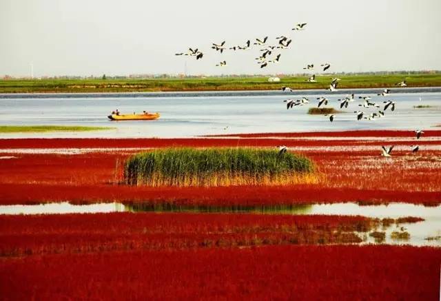 美呆了！祖國的秋色盡收眼底