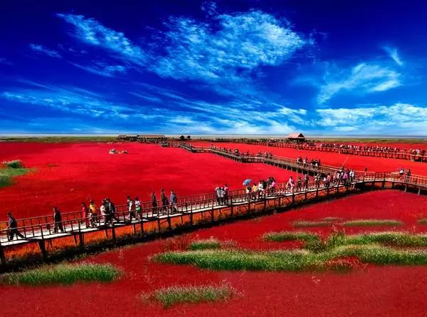 美呆了！祖國的秋色盡收眼底