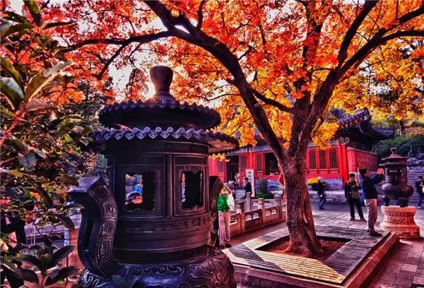 美呆了！祖國的秋色盡收眼底