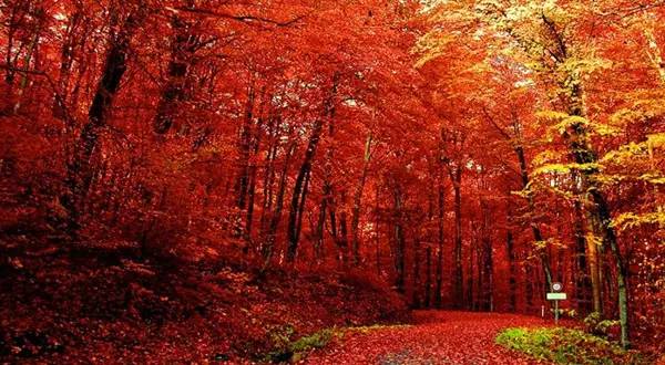 十處優(yōu)美的山水風(fēng)景，錦繡山河如詩如畫！