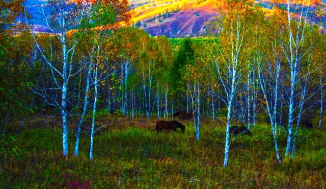 十處優(yōu)美的山水風(fēng)景，錦繡山河如詩如畫！