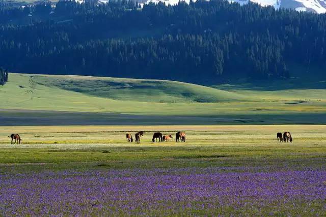 十處優(yōu)美的山水風(fēng)景，錦繡山河如詩如畫！