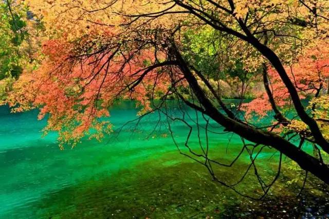 十處優(yōu)美的山水風(fēng)景，錦繡山河如詩如畫！