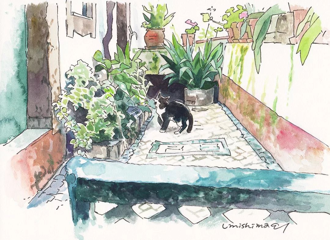 超唯美優(yōu)雅插畫，清新亮麗的手繪插畫