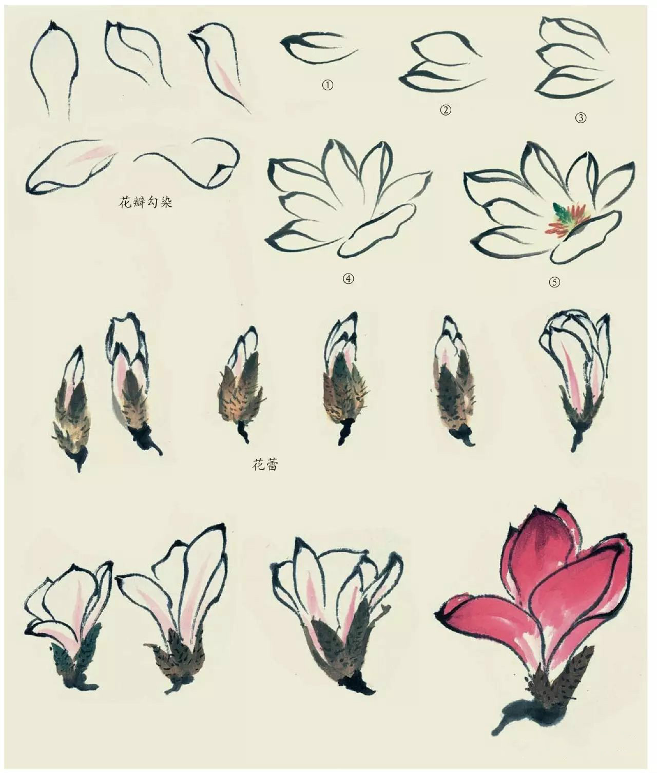 國(guó)畫技法：超詳細(xì)的國(guó)畫各種花卉畫法大全!