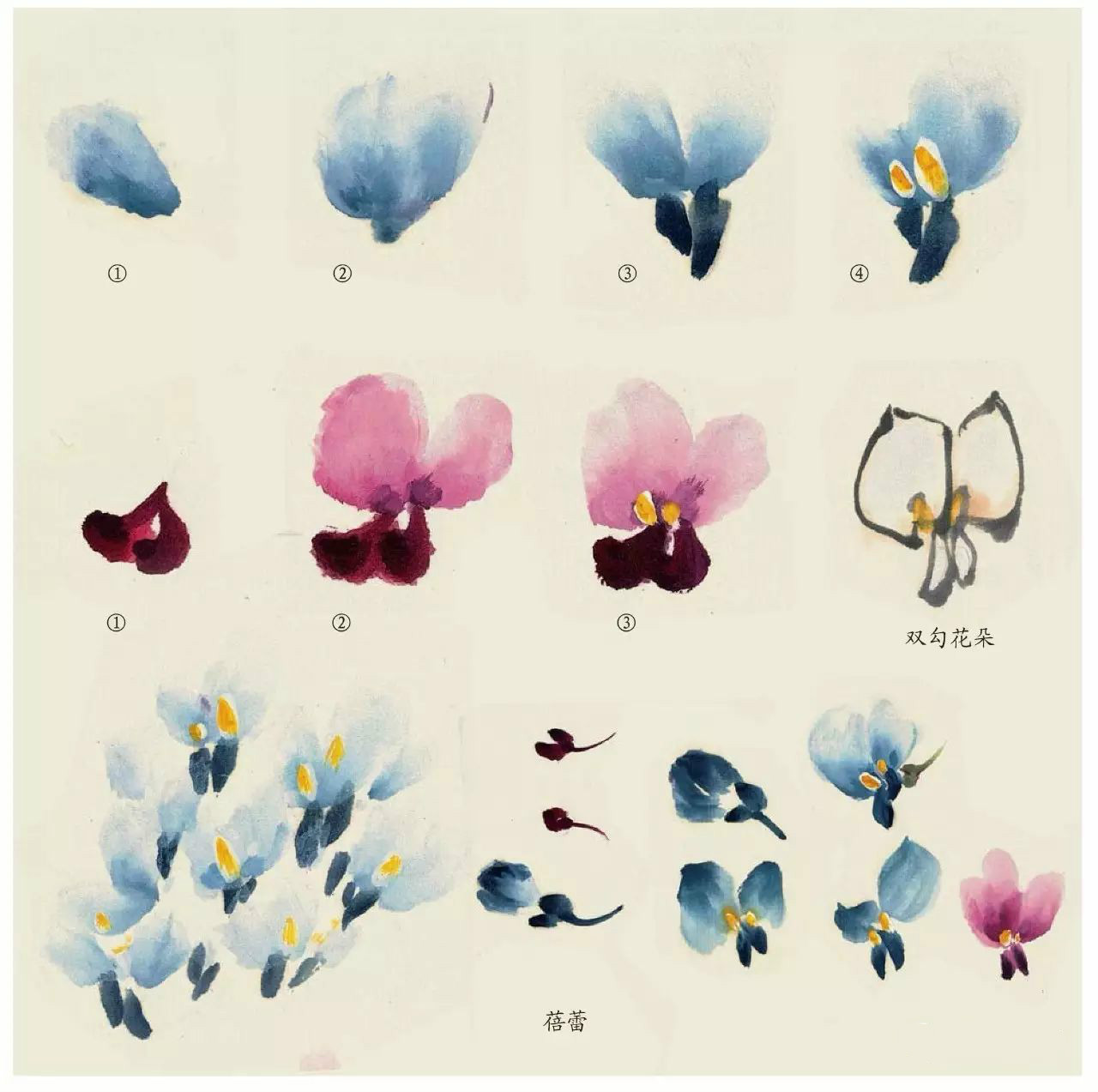 國畫技法：超詳細(xì)的國畫各種花卉畫法大全!