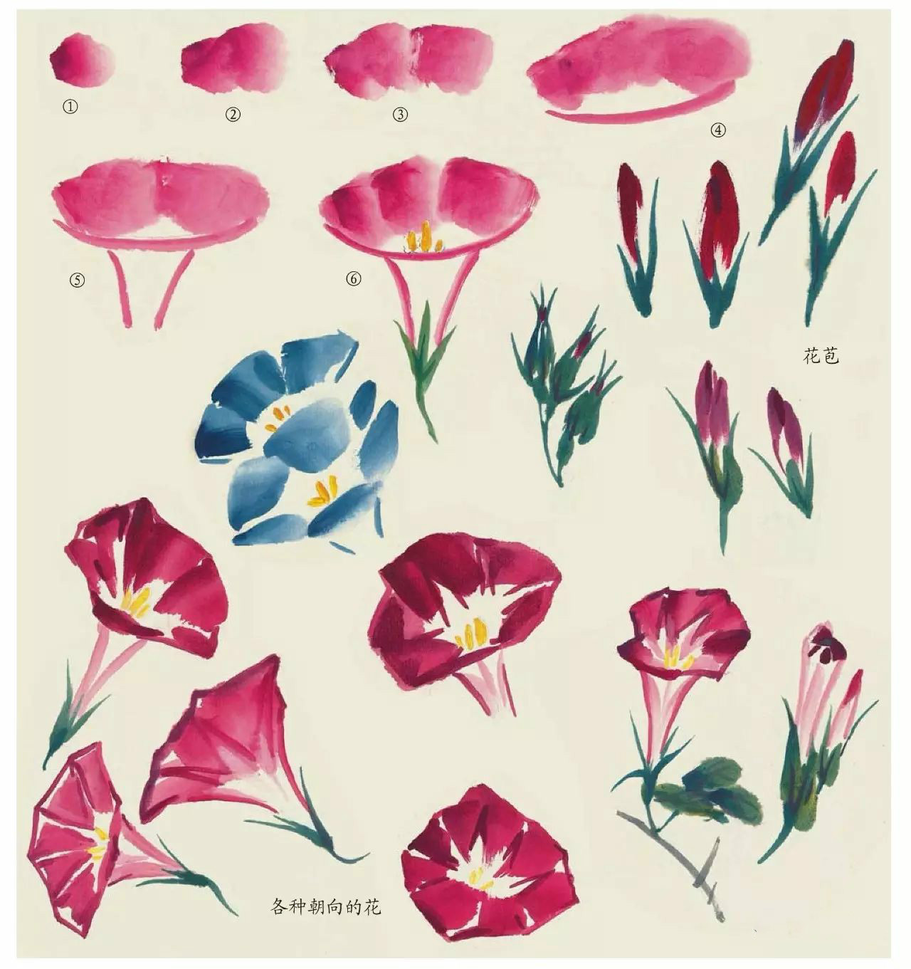 國畫技法：超詳細(xì)的國畫各種花卉畫法大全!