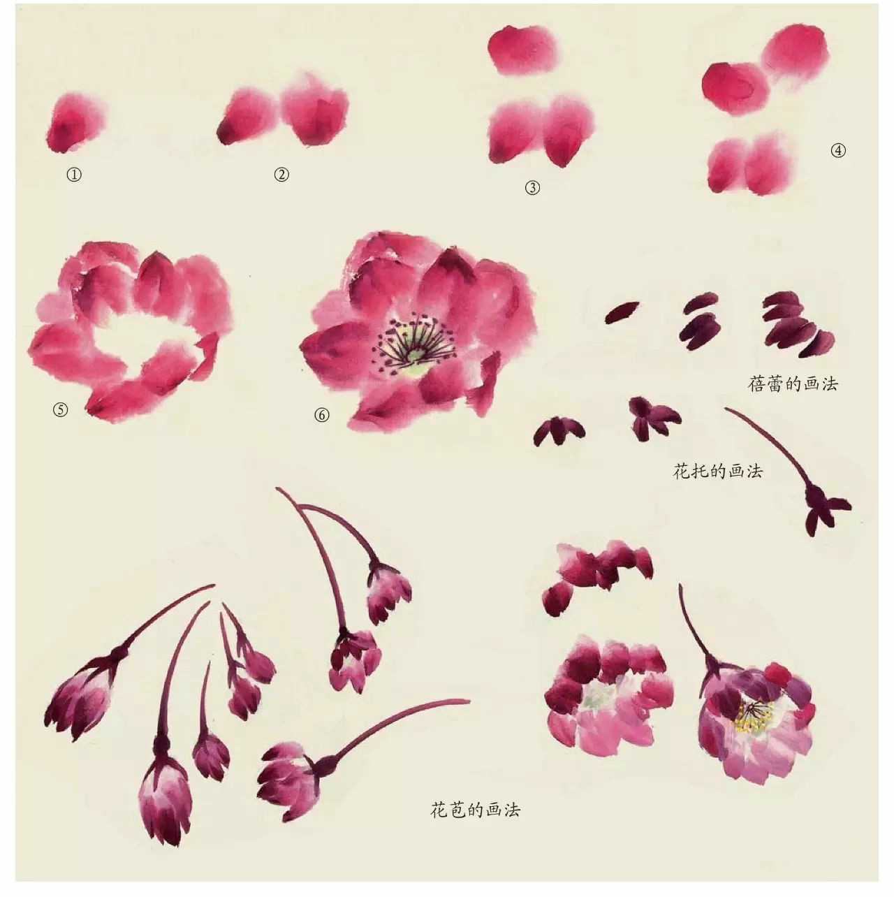 國(guó)畫技法：超詳細(xì)的國(guó)畫各種花卉畫法大全!