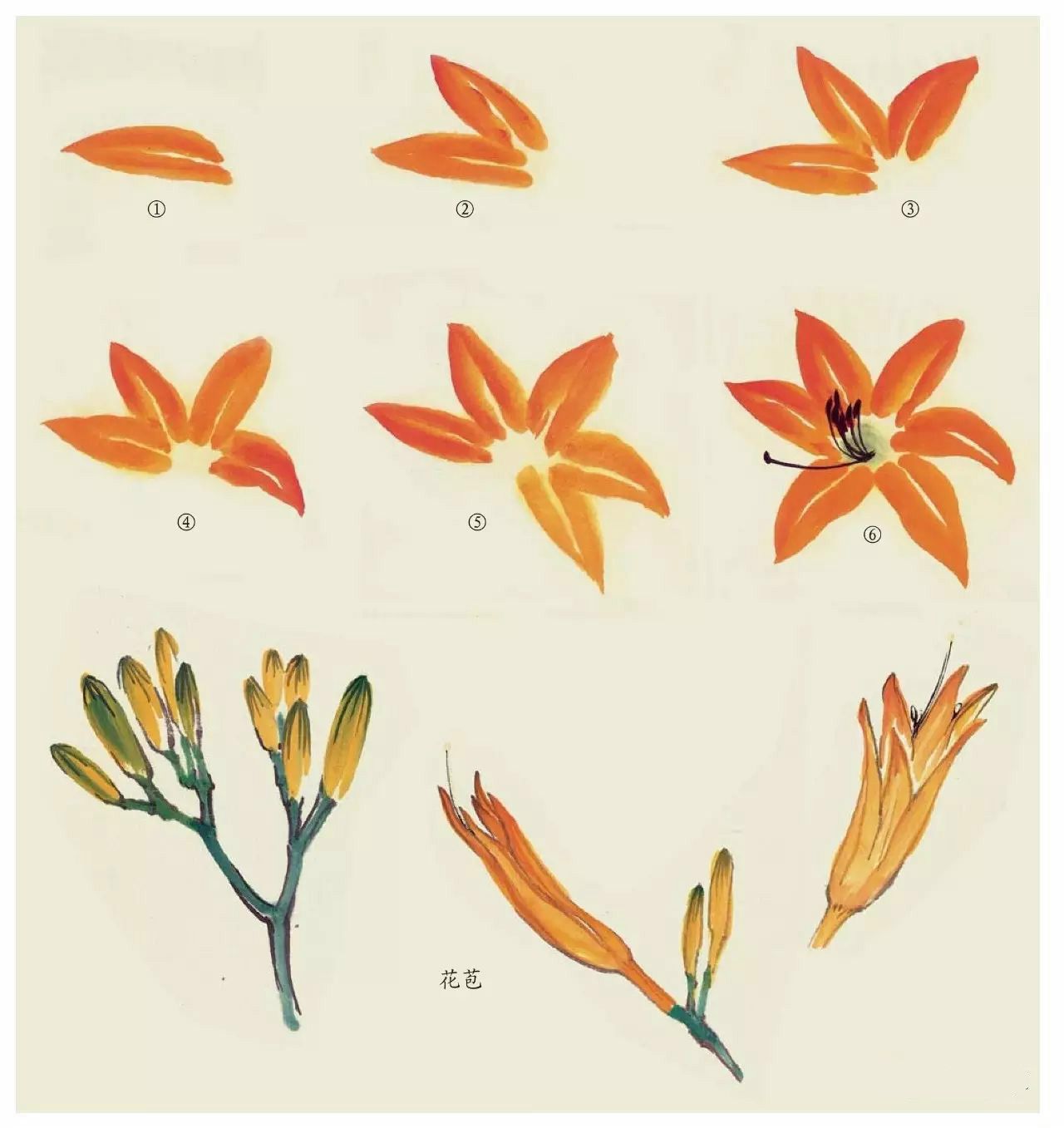 國畫技法：超詳細的國畫各種花卉畫法大全!