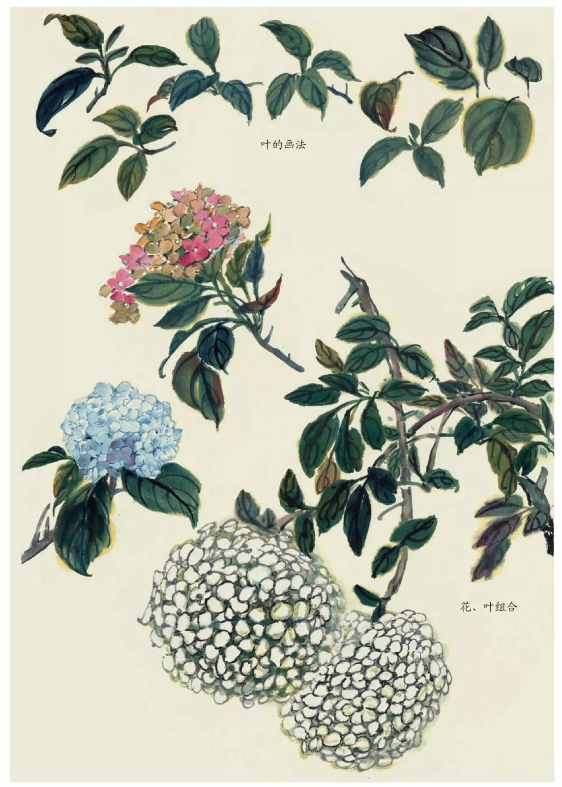 國(guó)畫技法：超詳細(xì)的國(guó)畫各種花卉畫法大全!