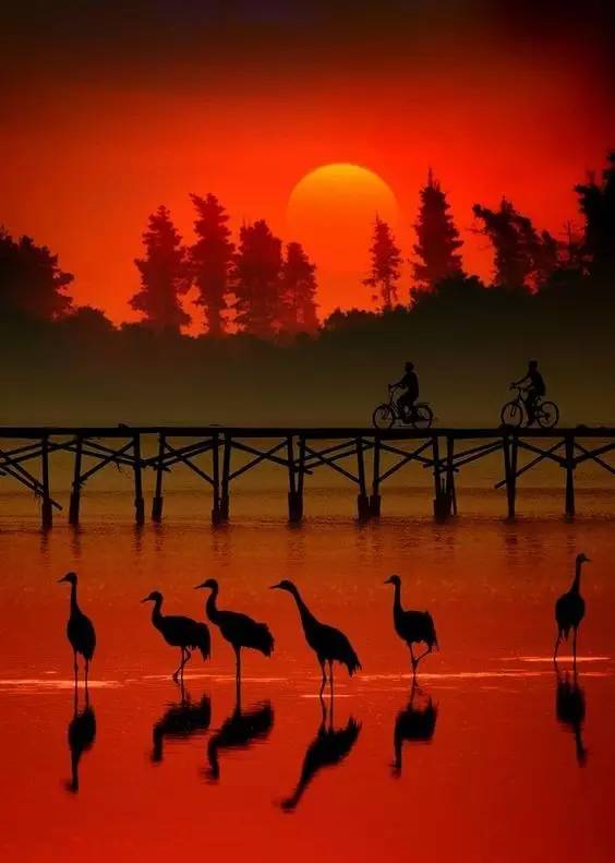 美到骨子里的夕陽風景：青山依舊在，幾度夕陽