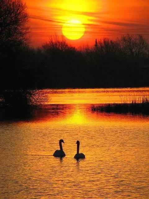 美到骨子里的夕陽風景：青山依舊在，幾度夕陽