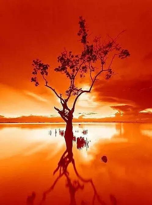 美到骨子里的夕陽風景：青山依舊在，幾度夕陽