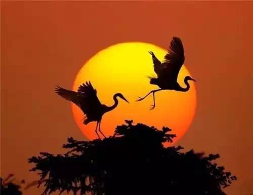 美到骨子里的夕陽風(fēng)景：青山依舊在，幾度夕陽