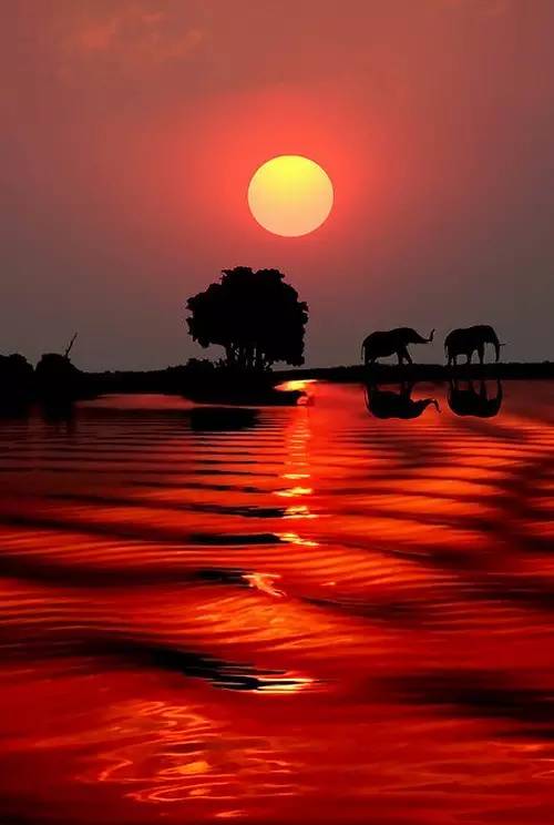 美到骨子里的夕陽風(fēng)景：青山依舊在，幾度夕陽