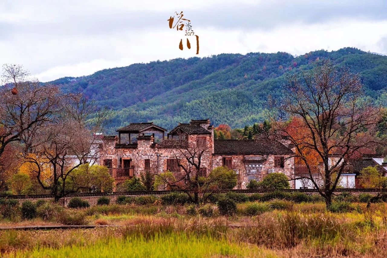 杭州·化城壹處，坐落在化城寺的佛元素里