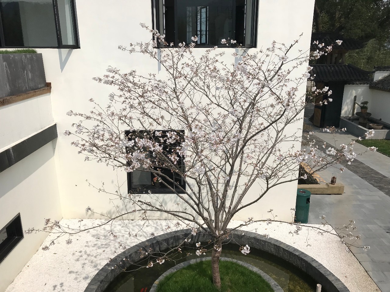 杭州·化城壹處，坐落在化城寺的佛元素里