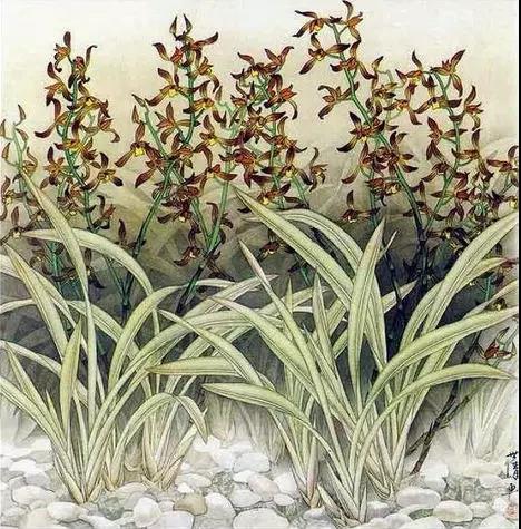 中國(guó)畫(huà)欣賞：驚艷唯美蘭花圖