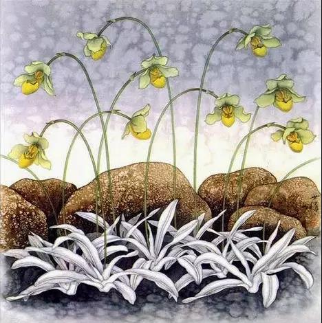 中國(guó)畫(huà)欣賞：驚艷唯美蘭花圖