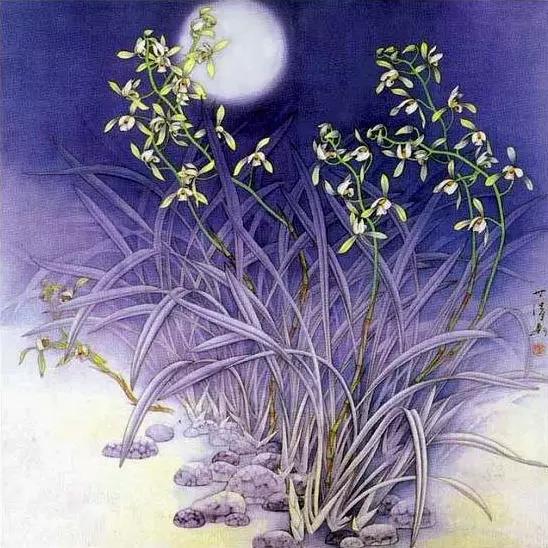 中國(guó)畫(huà)欣賞：驚艷唯美蘭花圖