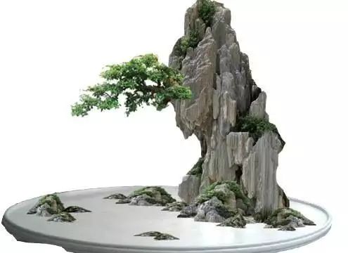 讓人驚嘆的盆景藝術：世界上最貴盆栽盆景