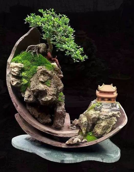 讓人驚嘆的盆景藝術：世界上最貴盆栽盆景