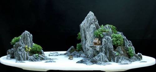 讓人驚嘆的盆景藝術：世界上最貴盆栽盆景