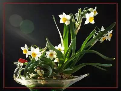 詩意風景：一花一世界，一詩一情懷