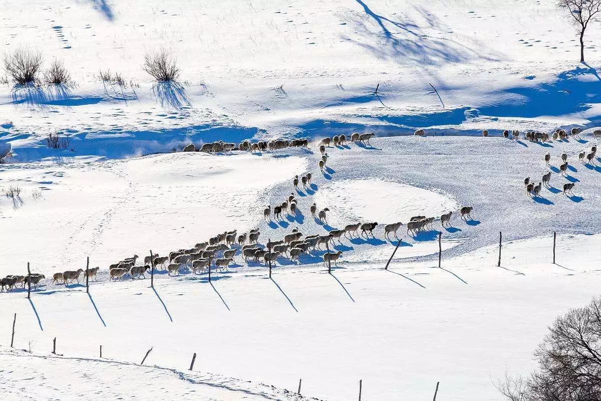 承德·衍居院上野奢度假，策馬奔騰活得瀟瀟灑灑
