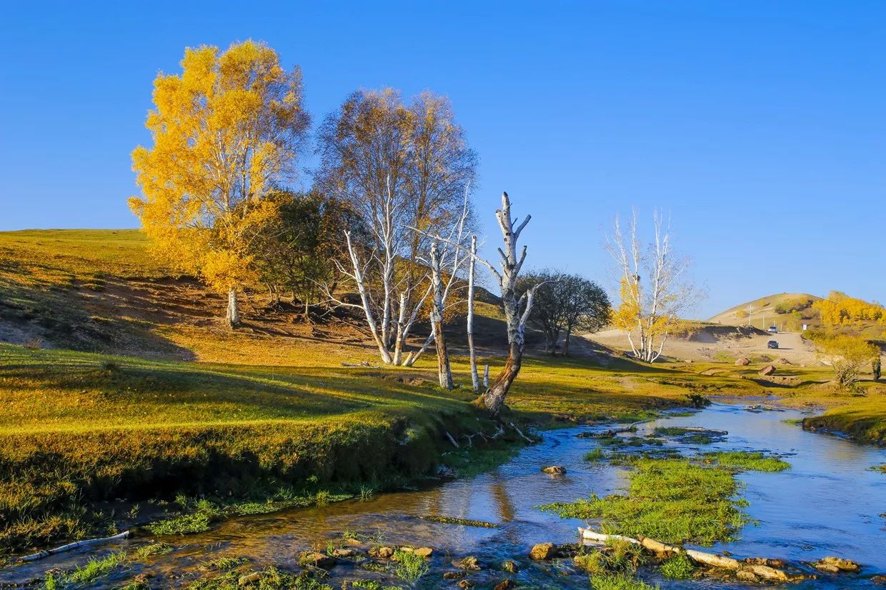 承德·衍居院上野奢度假，策馬奔騰活得瀟瀟灑灑