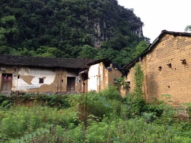 陽朔·芒果憶墅，用芒果記錄每一個美好瞬間